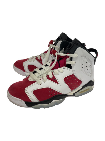 NIKE AIR JORDAN6 (23)