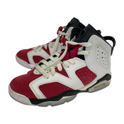 NIKE AIR JORDAN6 (23)