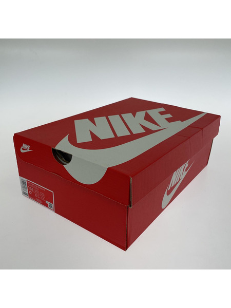 NIKE スニーカー Nike Dunk Low Retro LTD
