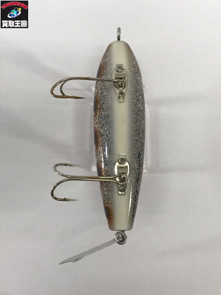 クオリティライフ　フィッシュガガ