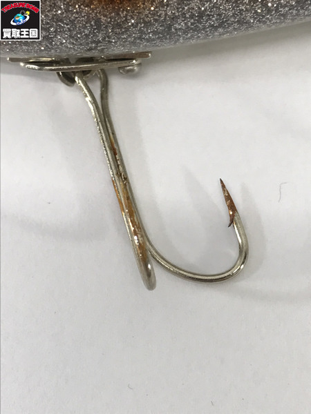 クオリティライフ　フィッシュガガ