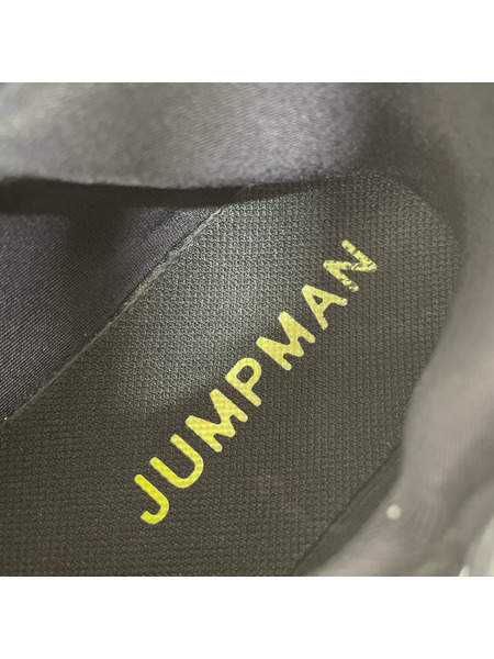 NIKE スニーカー JORDAN PROTO-MAX 720 グレー 27