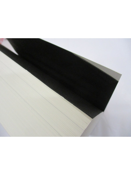 メーカー エヴァンゲリオン 新世紀エヴァンゲリオン　劇場版BOX　特典セット