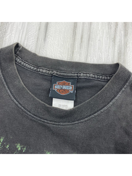 Harley-Davidson 半袖Tシャツ・カットソー USA製 SUMMER DREAMS 黒 (M)