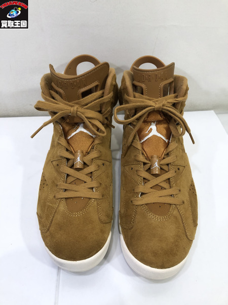 NIKE/AIR JORDAN 6 RETRO/27.5/384664-705/茶/ナイキ/エアジョーダン[値下]