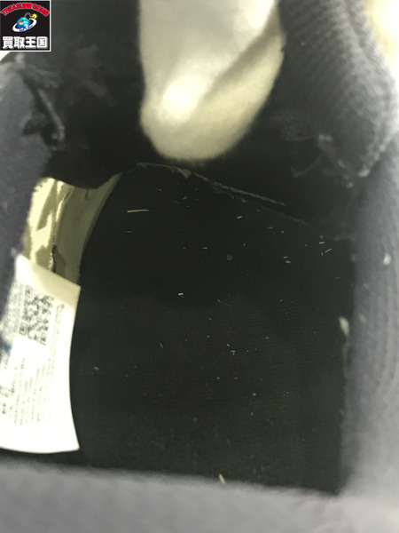 NIKE スニーカー ACG Mountain Fly 2 Low 28cm　DV7903-001