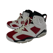 NIKE スニーカー Air Jordan 6 Carmine/CT8529-106 (27.5)
