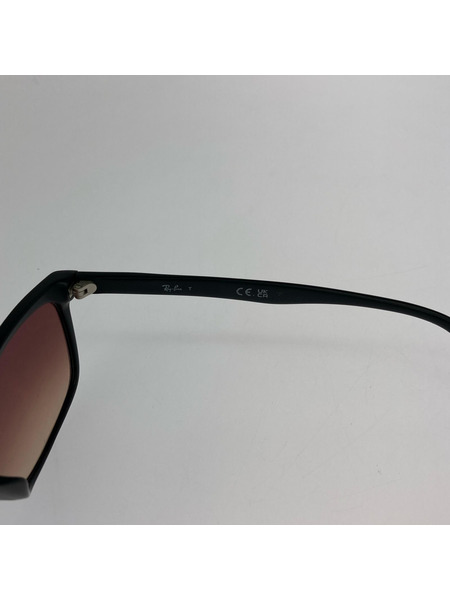 Ray-Ban ソノ他 サングラス 黒