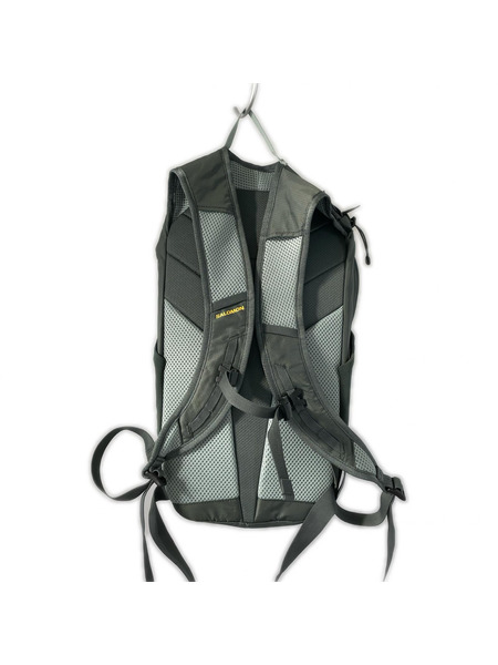 SALOMON  Trailblazer 10 Backpack C23361 グリーン