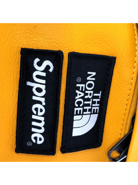 THE NORTH FACE×Supreme 17AW/Leather Day Pack