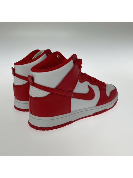 NIKE DUNK HI RETRO DD1399 106(28.0cm)