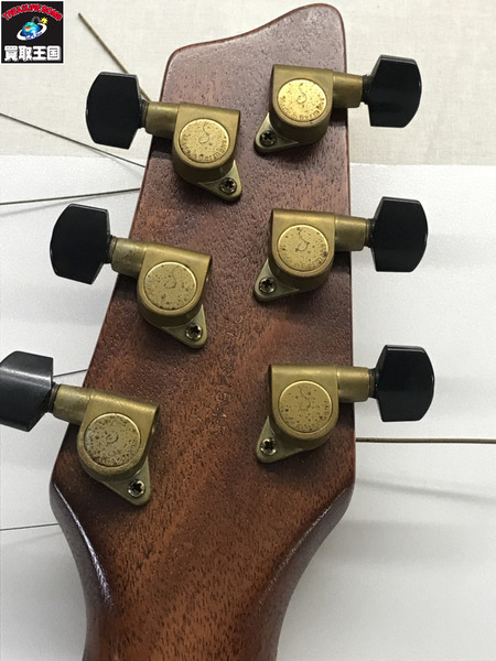ギター Godin LGX