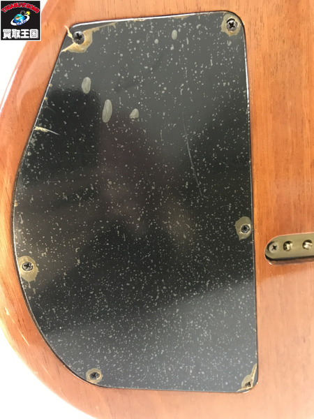 ギター Godin LGX