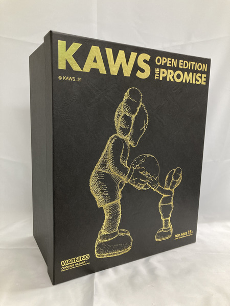 KAWS THE Promise 