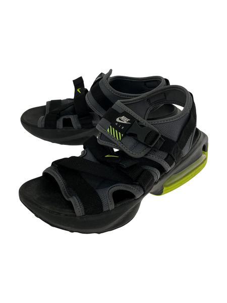 NIKE AIR MAX SOL SLIDE (28.0cm)