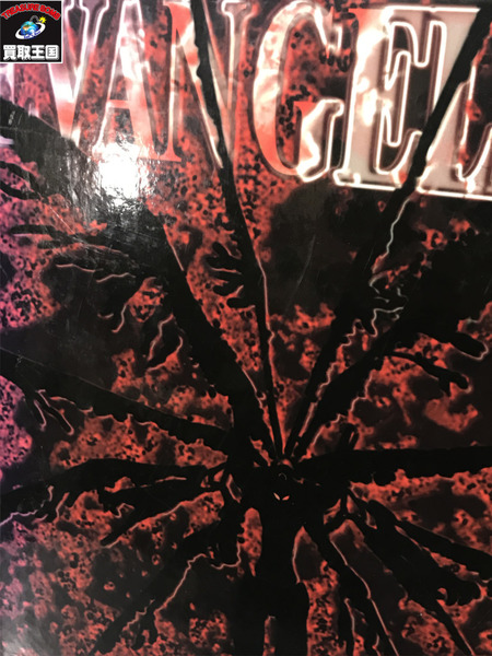 エヴァンゲリオン カードダスマスターズワイド 初版 専用バインダー セット