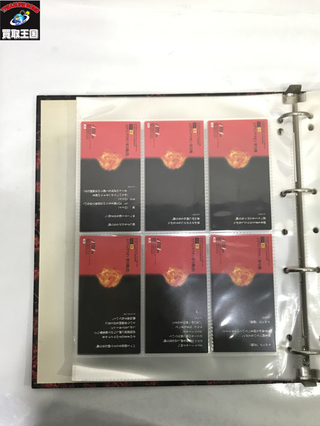 エヴァンゲリオン カードダスマスターズワイド 初版 専用バインダー セット