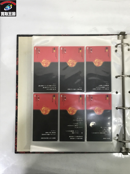 エヴァンゲリオン カードダスマスターズワイド 初版 専用バインダー セット