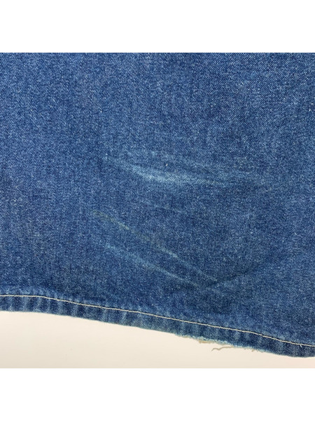 Carhartt デニムペインターパンツ