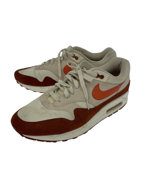 NIKE IR MAX 1 MARS STONE (29.0cm)