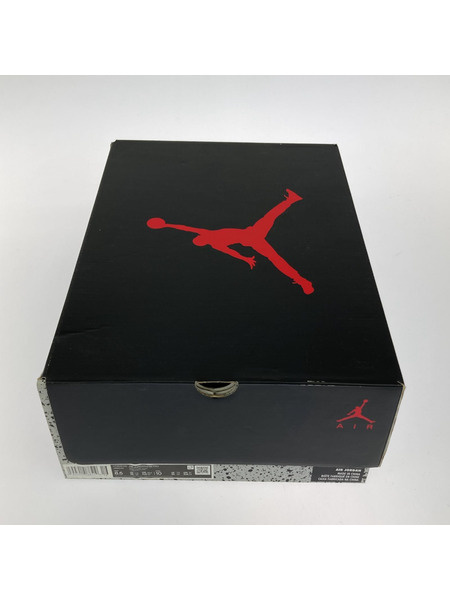 NIKE AIR JORDAN 6 RETRO CARMINE (26.5)