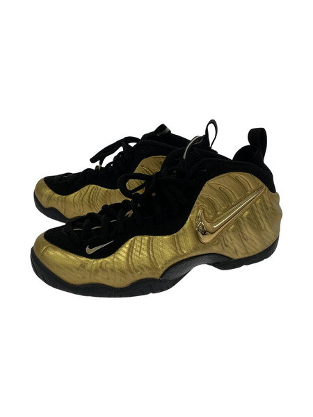 NIKE AIR FOAMPOSITE PRO (29cm) 624041-701