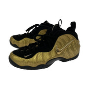 NIKE AIR FOAMPOSITE PRO (29cm) 624041-701