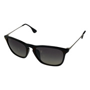 Ray-Ban ソノ他 RB4187 CHIRIS