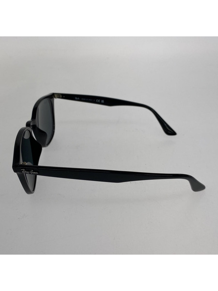 Ray-Ban ソノ他 RB4258F サングラス