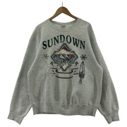 OLD・VINTAGE スウェット・トレーナー FRUIT OF THELOOM SizeL GRY