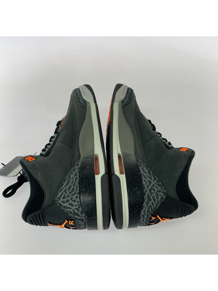 NIKE AIR JORDAN 3 RETRO Fear 29.0cm CT8532-080