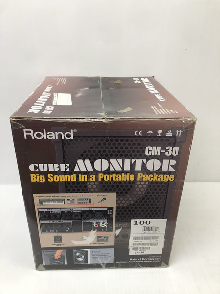 Roland CM-30 Cube Monitor