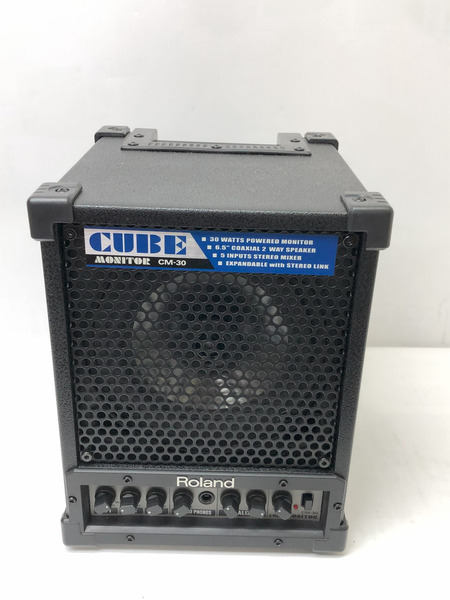 Roland CM-30 Cube Monitor