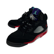 NIKE AIR JORDAN 5 RETRO TOP3 (29cm)