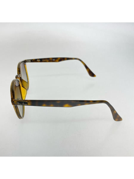 Ray-Ban ソノ他 RB 4259-F