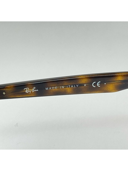 Ray-Ban ソノ他 RB 4259-F