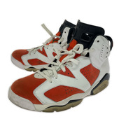 NIKE/Air Jordan 6 Retro Gatorade Like Mike White/28cm