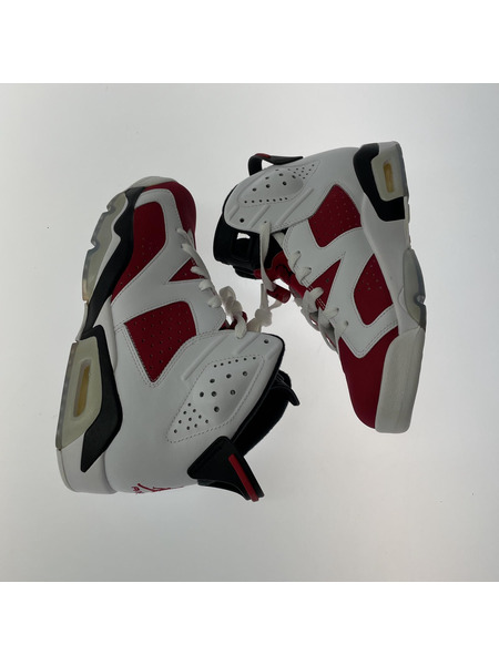 NIKE Air Jordan 6 Retro Carmine (2014)