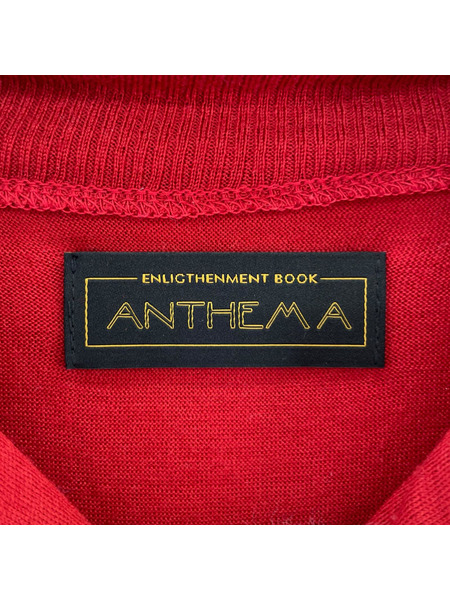 ANTHEM A ジャケット WASHABLE WOOL VOLUME SLEEVE JERSEY (1)