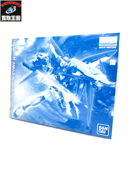 MG 1/100 PPGN-001 ガンダムアメイジングエクシア