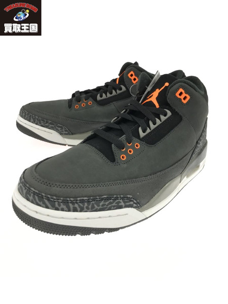 NIKE Air Jordan 3 Rtero Fear  CT8532-080[値下]