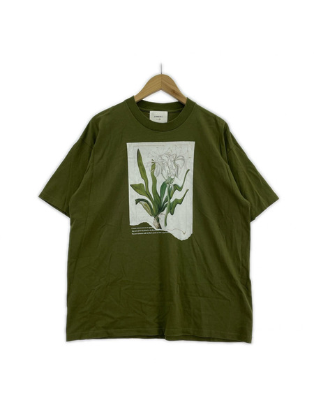 AMERI 半袖Tシャツ・カットソー DROOP FROWER BIG TEE  freesize