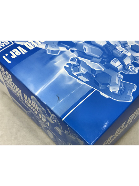 ガンプラ HG グスタフ・カール(ギレンの野望Ver.)