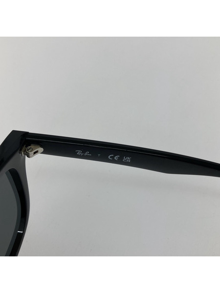 Ray-Ban RB4391D サングラス