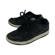 NIKE WASTED YOUTH X DUNK LOW PRO