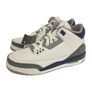 NIKE AIR JORDAN 3 Gs 24.5cm