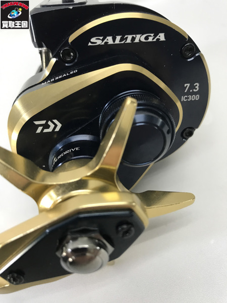 リール ダイワ 21ソルティガ IC300