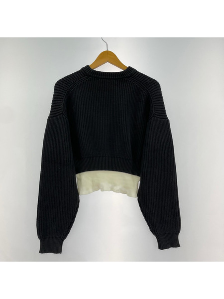 Alexander Wang ニット・セーター レイヤーセーター/XS/119061R17/BLK