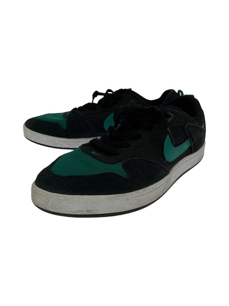 NIKE SB アリウープ 27.0cm