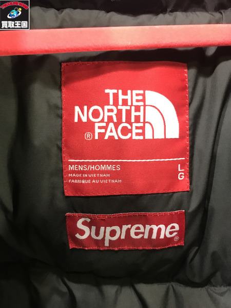 17AW Supreme X THE NORTH FACE Mountain Baltoro Jacket/L/シュプリーム/ノースフェイス/ダウンジャケット